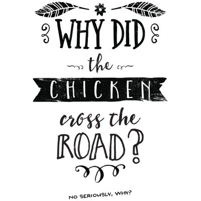 Chook Question Thumbnail