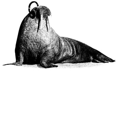 Wordless Walrus Thumbnail