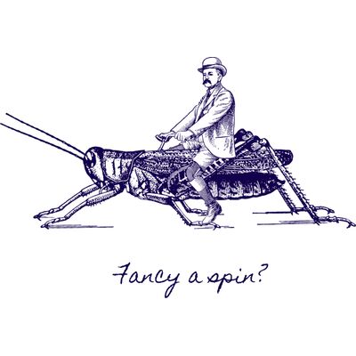 Fancy a spin? Thumbnail