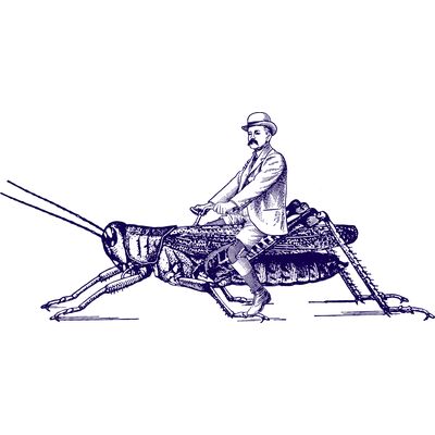 Fancy a spin? Wordless Thumbnail