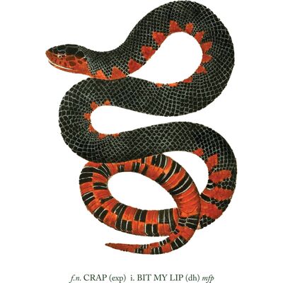 Crap, I Bit My Lip Thumbnail